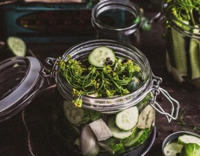 What are Probiotics and can they help us in our search for good health?