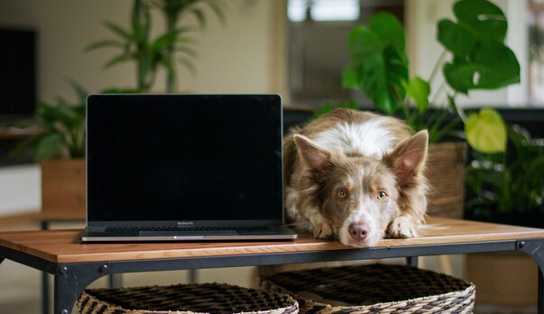 Pilates Online can be made for you and your needs